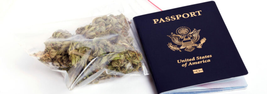 LAX to Disneyland car service