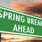 sna to disneyland car service