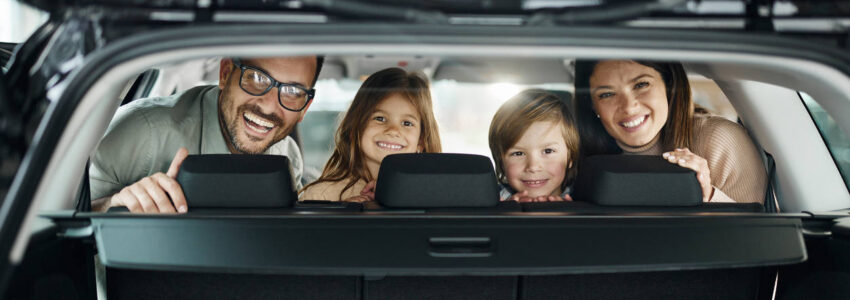 sna to disneyland car service